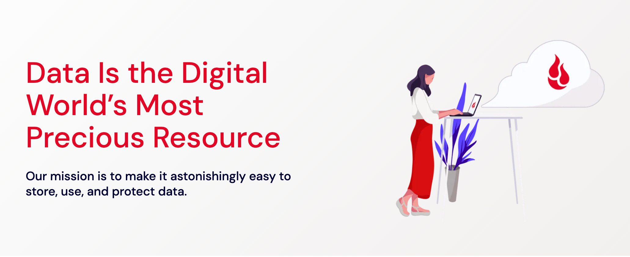 Screenshot with text that says "Data Is the Digital World's Most Precious Resource. Our mission is to make it astonishingly easy to store, use, and protect data." With a graphic of a woman standing at a computer on the right.